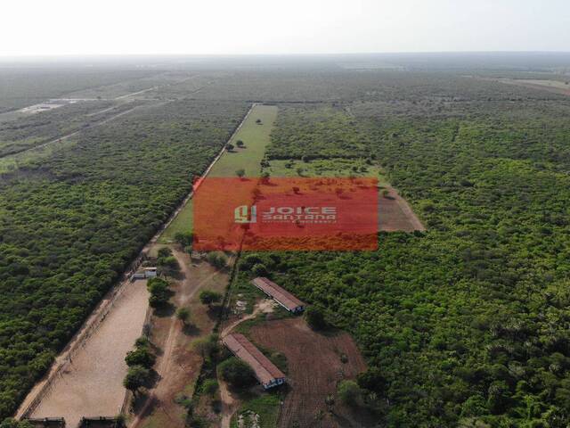 #TE788 - Fazenda para Venda em Mossoró - RN - 1