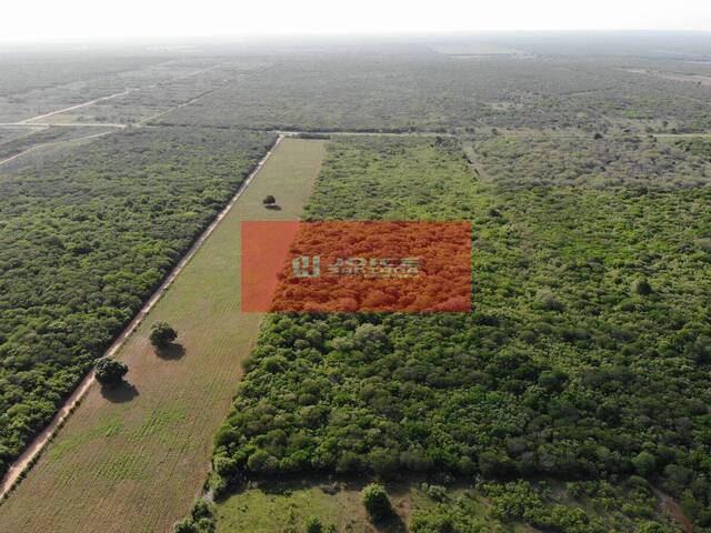 #TE788 - Fazenda para Venda em Mossoró - RN - 3