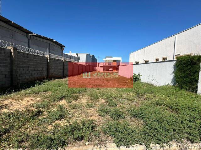 Lote 11