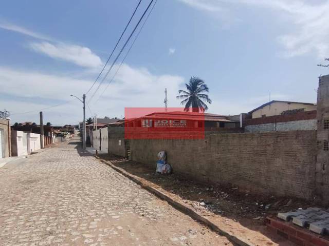 #TE1006 - Área para Venda em Tibau - RN - 3