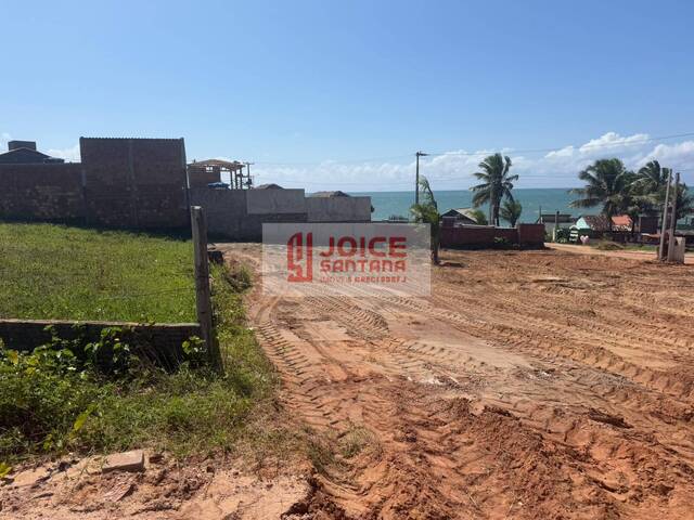 Área para Venda em Tibau do Sul - 3