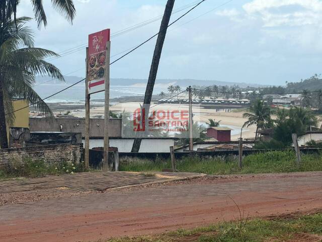 Área para Venda em Tibau do Sul - 4